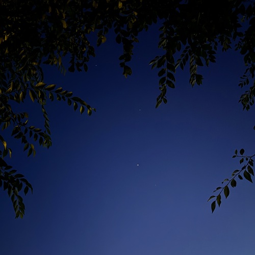 Photo #14152469