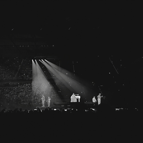Photo #14152515