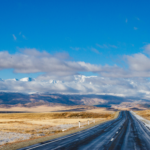 Photo #14152675