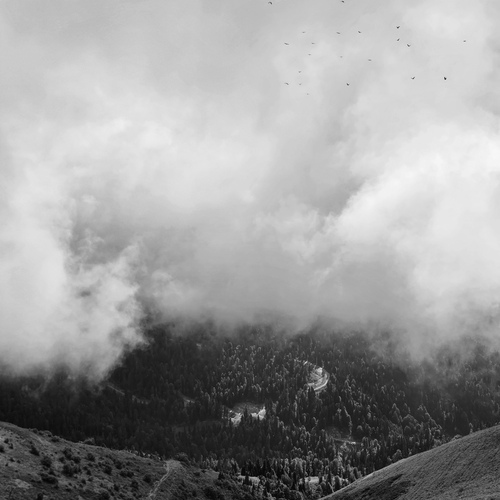 Photo #14152702