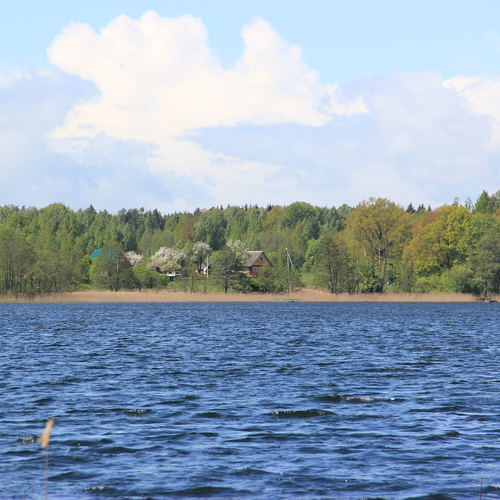 Photo #14152899