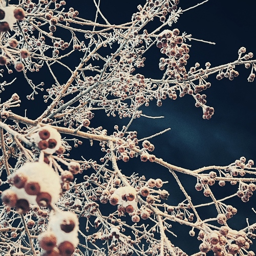 Photo #14153069