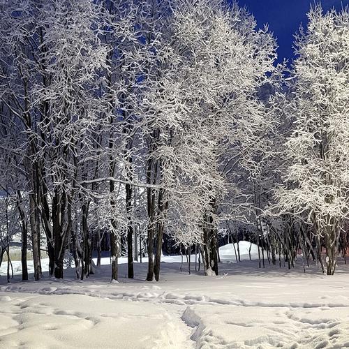 Photo #14153088