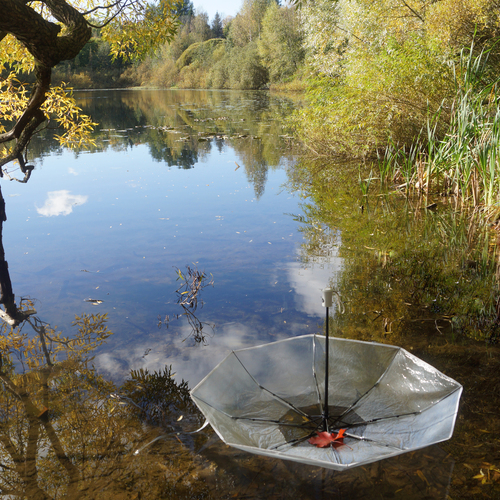 Photo #14153232