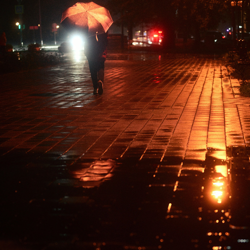 Photo #14153305