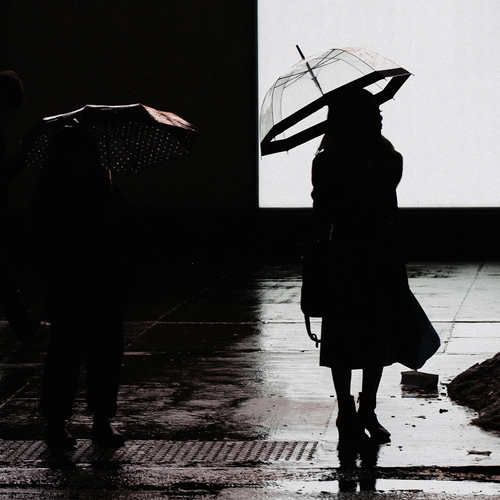 Photo #14153356