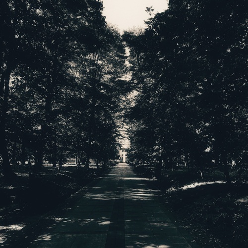 Photo #14153393