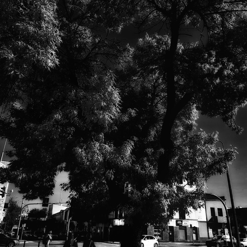 Photo #14153422