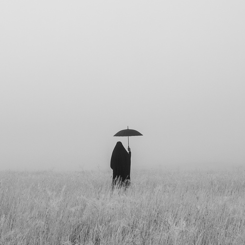 Alone in the Mist