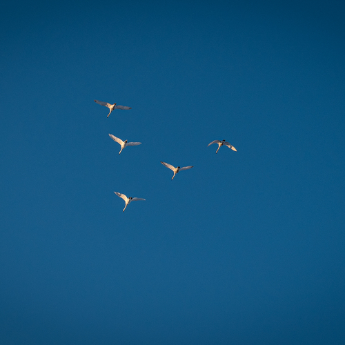 Photo #14153508
