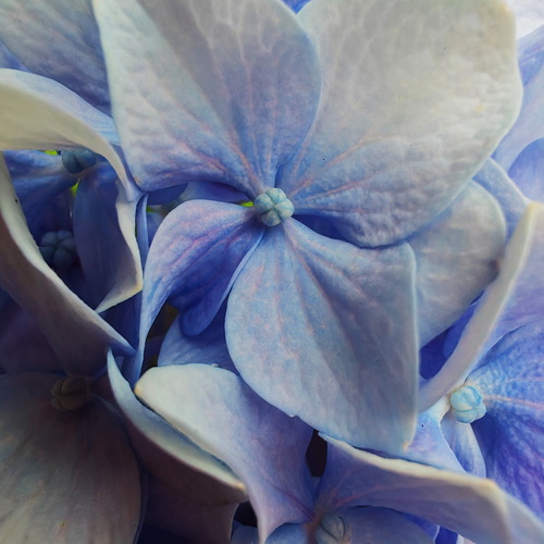 Photo #14153653