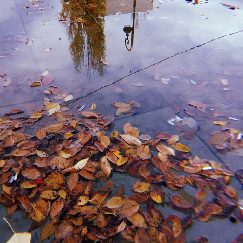 Photo #14153795