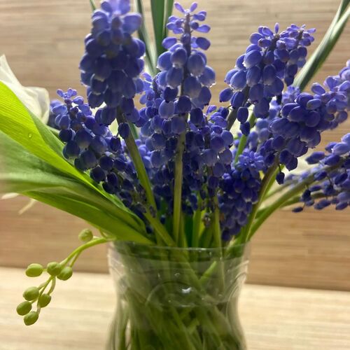 Photo #14154051