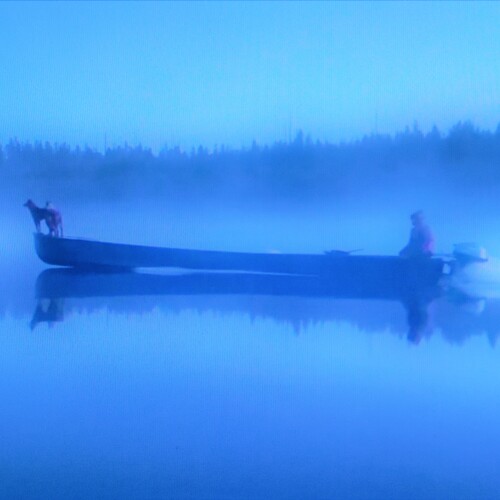 Photo #14154157