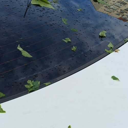 Photo #14154207