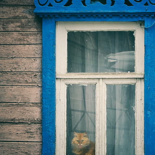 Photo #14154359