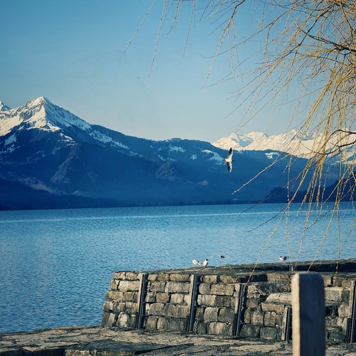 Photo #14154382