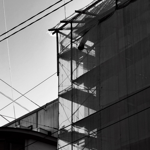 Photo #14154408
