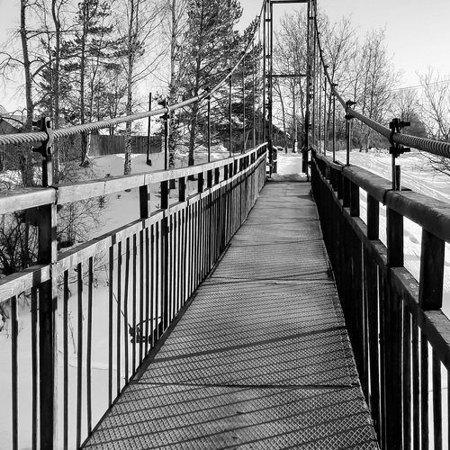 Photo #14154431