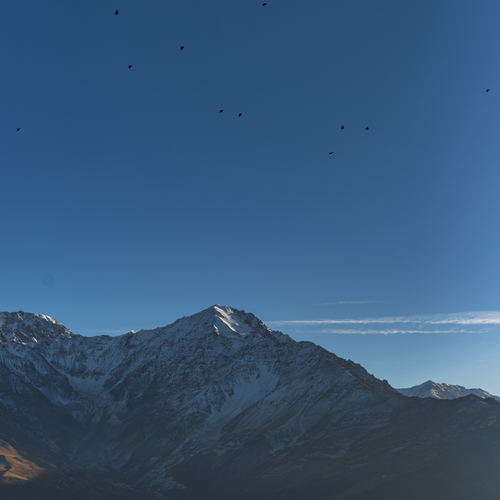 Photo #14154498