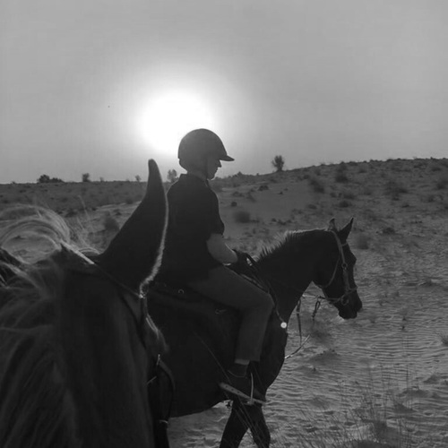 Photo #14154505