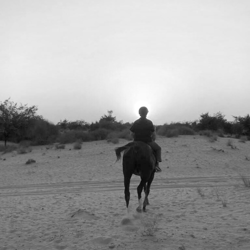 Photo #14154506