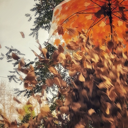 Photo #14154567