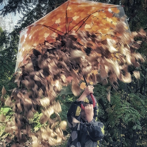 Photo #14154570