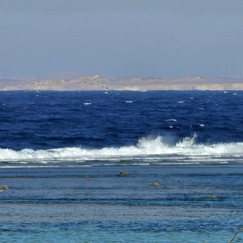 Photo #14154642