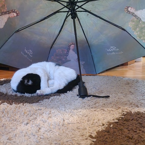 Photo #14154721