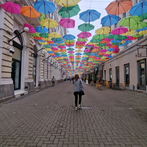 Photo #14154724
