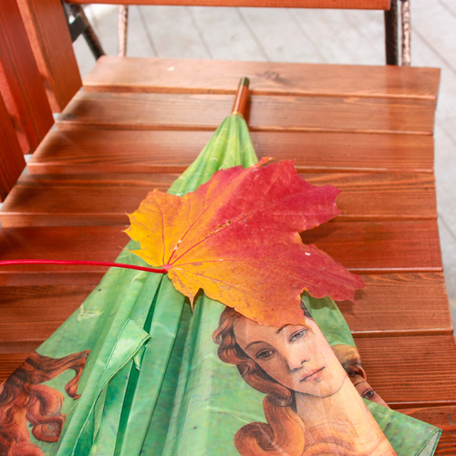 Photo #14154727