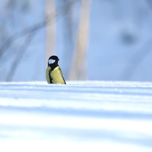Photo #14154952