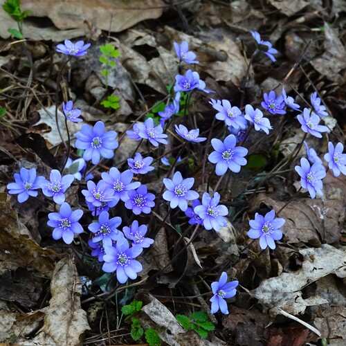 Photo #14154973
