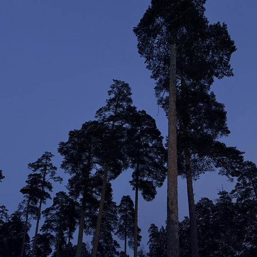Photo #14154976