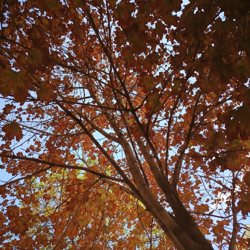 Photo #14155390