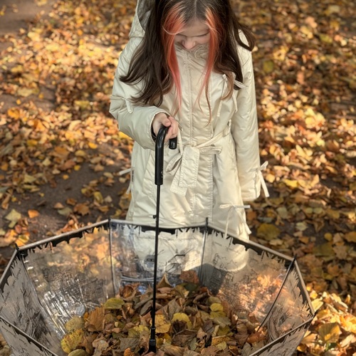 Photo #14155683