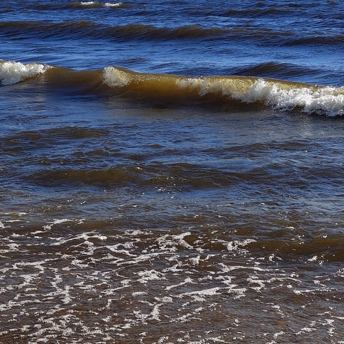 Photo #14155715