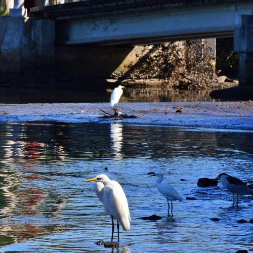 Photo #14155744
