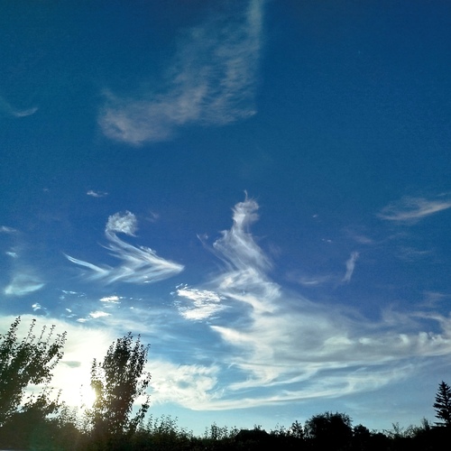 Photo #14155751