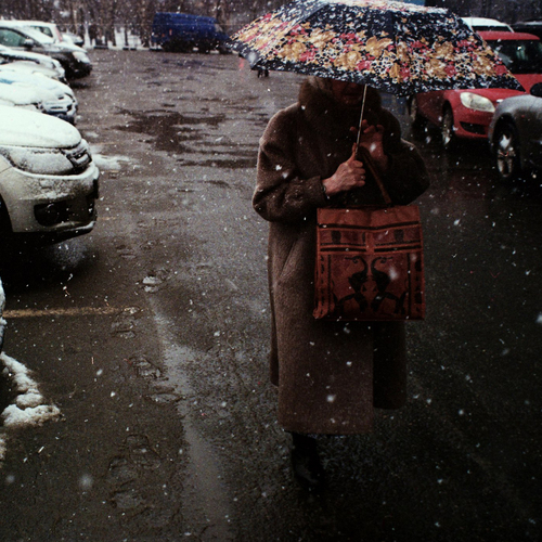 Photo #14155754