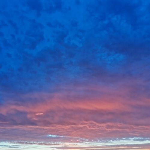 Photo #14155852