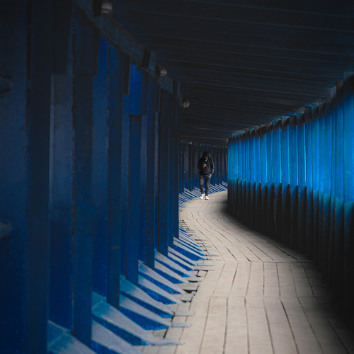 Photo #14155859