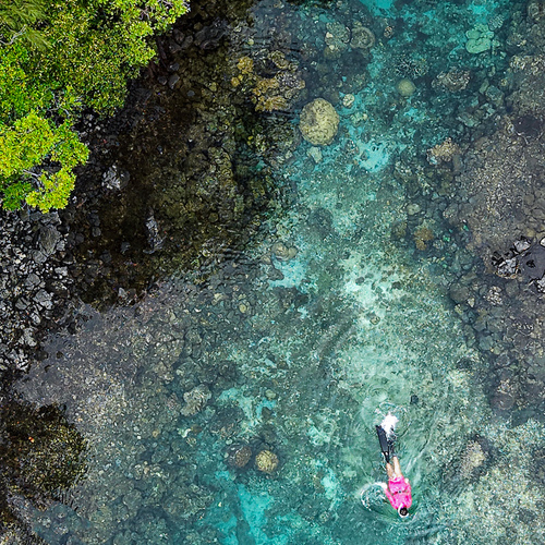 Between Reef and Silence