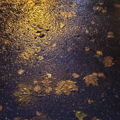 Photo #14156138