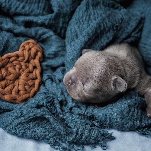 Photo #14156223