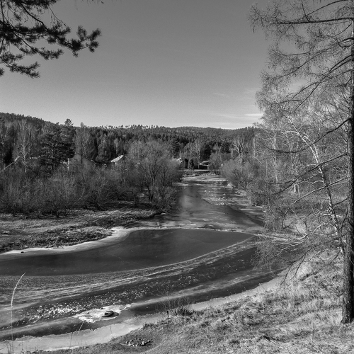 Photo #14156426
