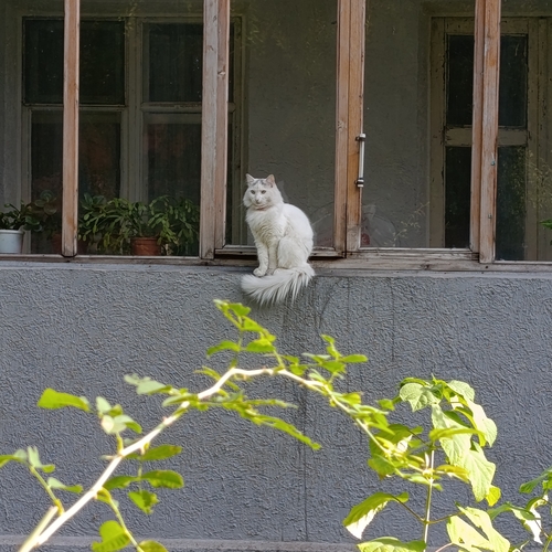 Photo #14156657