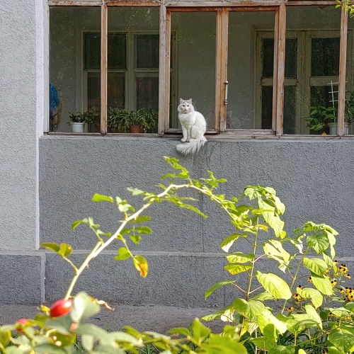 Photo #14156659