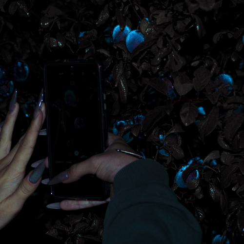 Photo #14156762